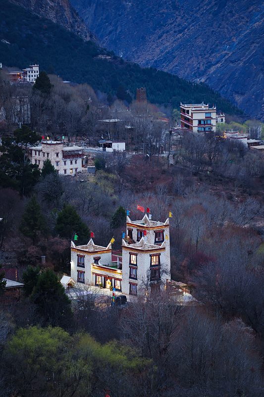 Photo Sample
