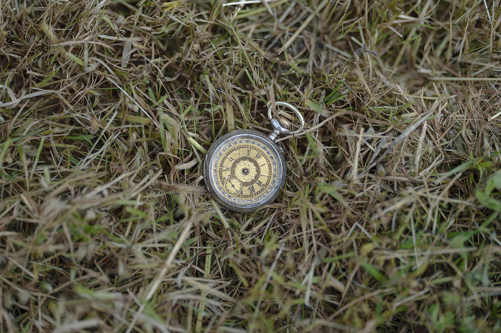 Photo Sample