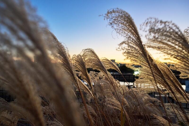 Photo Sample