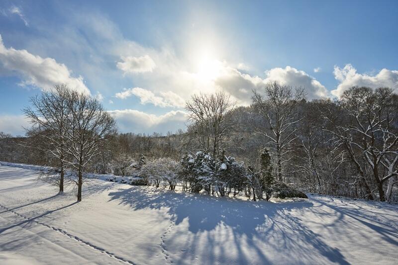 Photo Sample